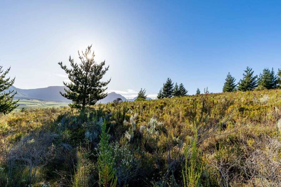0 Bedroom Property for Sale in Heidelberg Rural Western Cape